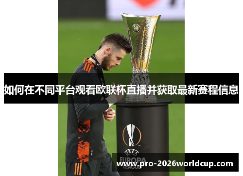 如何在不同平台观看欧联杯直播并获取最新赛程信息