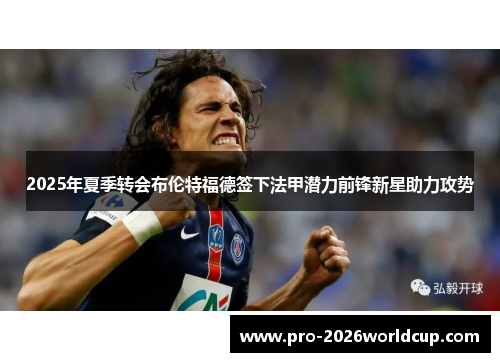 2025年夏季转会布伦特福德签下法甲潜力前锋新星助力攻势