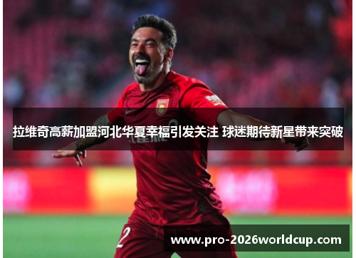 拉维奇高薪加盟河北华夏幸福引发关注 球迷期待新星带来突破